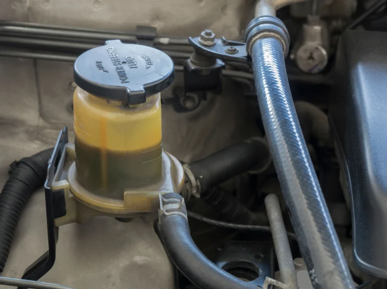 Power steering fluid reservoir and hoses.